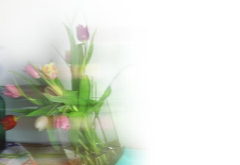Bild mit Tulpen - verschwommen in Bewegung - Frühling Blog