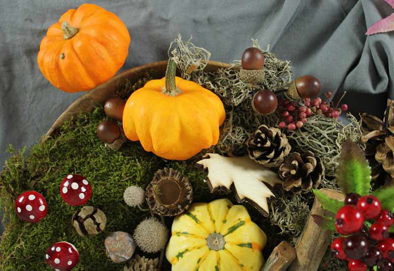stimmungsvolle Herbstdeko selber machen aus Moos, Pilzen,Tannenzapfen, Kerzen, Kürbissen und Holz und Naturmaterialien